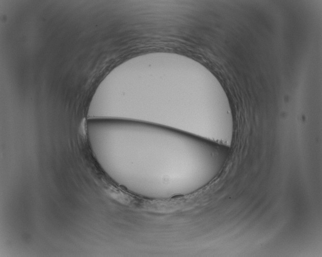 X0000067890041200605041603