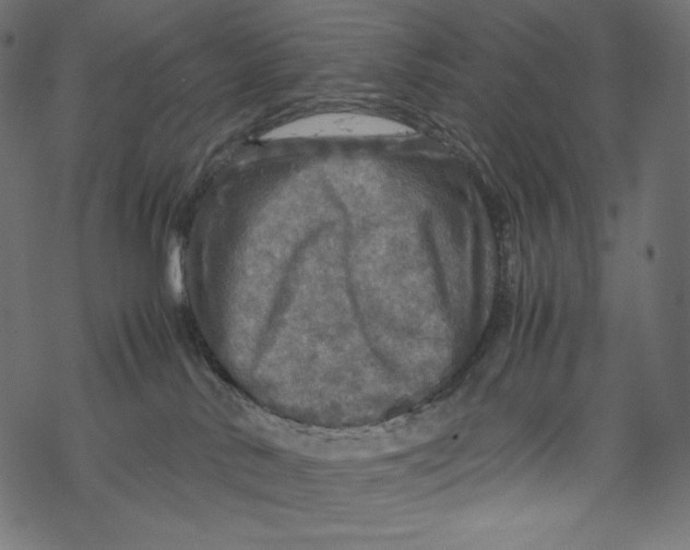 X0000067890042200605041603