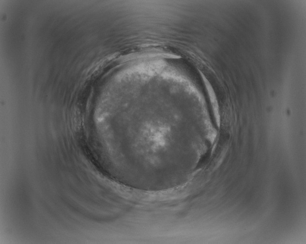 X0000067890043200605041603