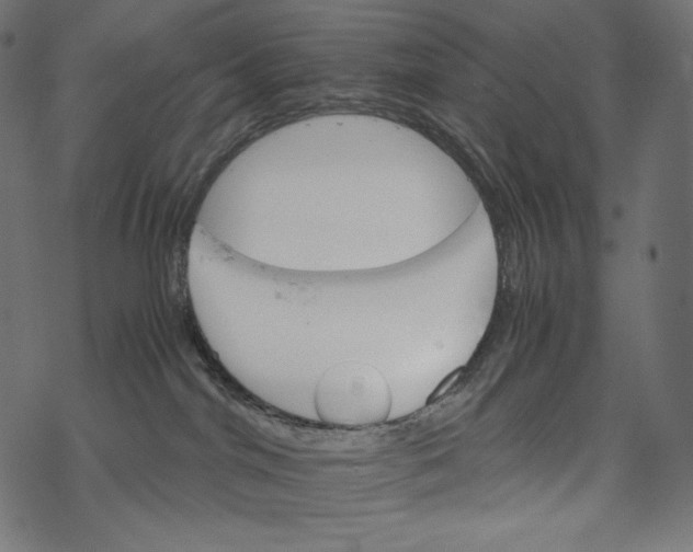 X0000067890044200605041603