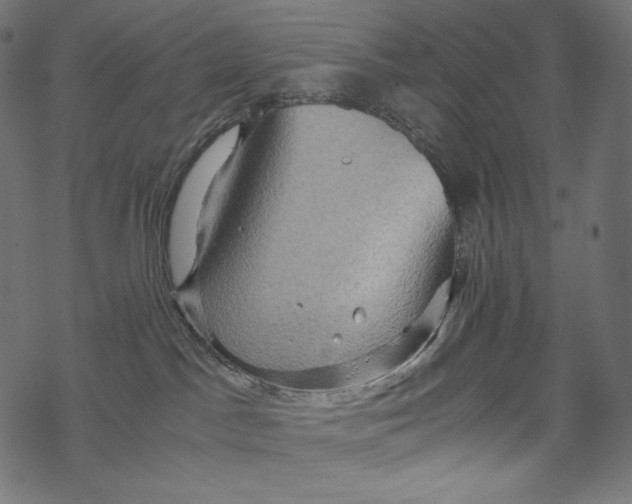 X0000067890045200605041603