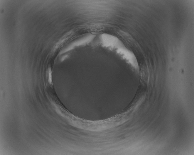 X0000067890046200605041603