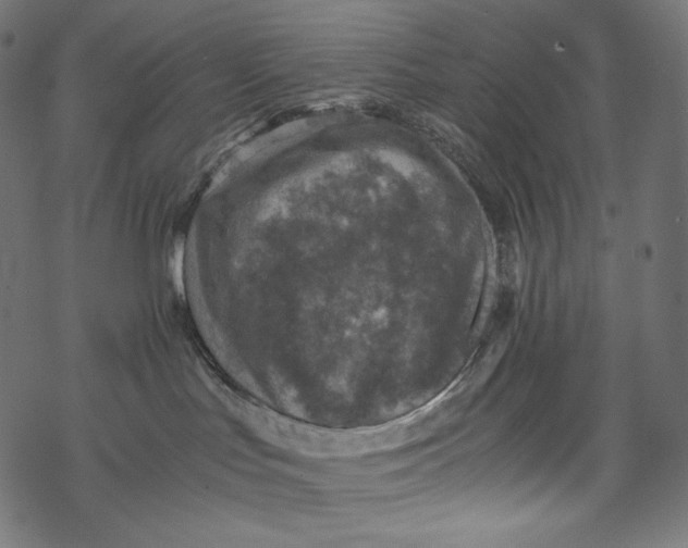 X0000067890047200605041603