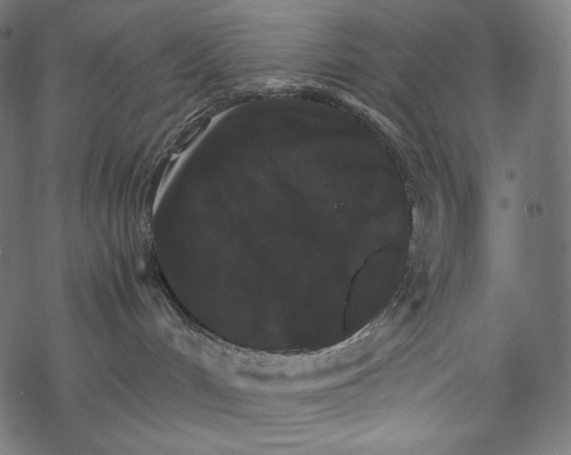 X0000067890048200605041603