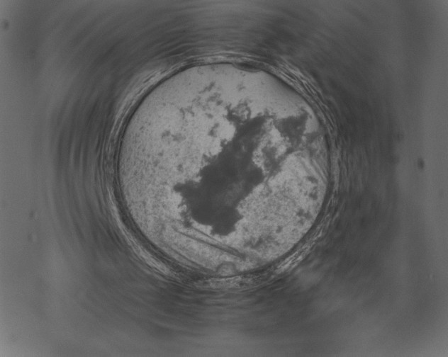 X0000067890049200605041602