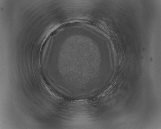 X0000067890050200605041603