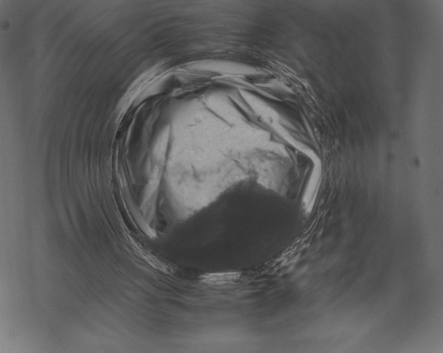 X0000067890051200605041603