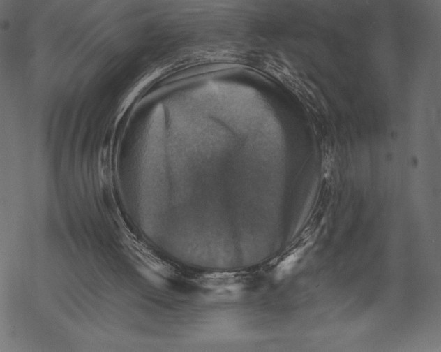 X0000067890052200605041603