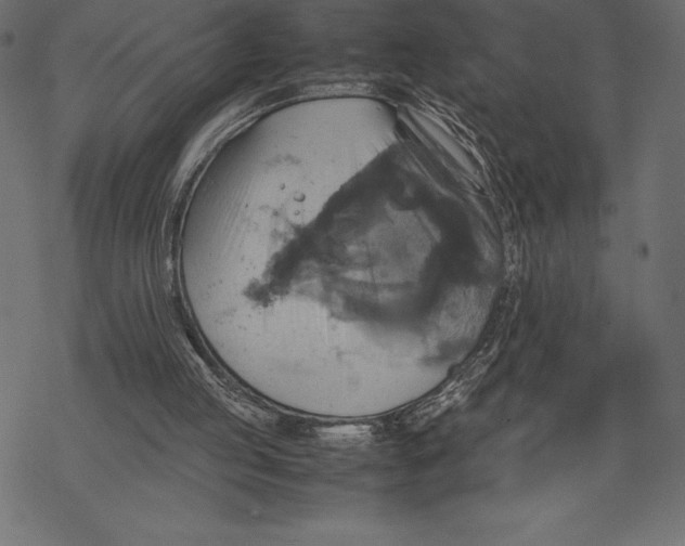 X0000067890053200605041603