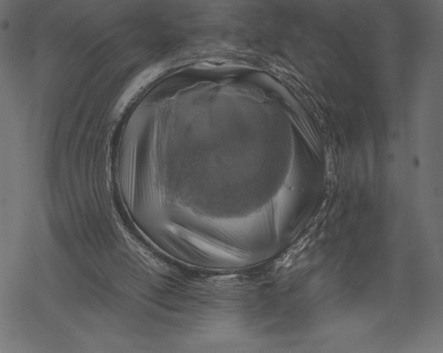 X0000067890054200605041603