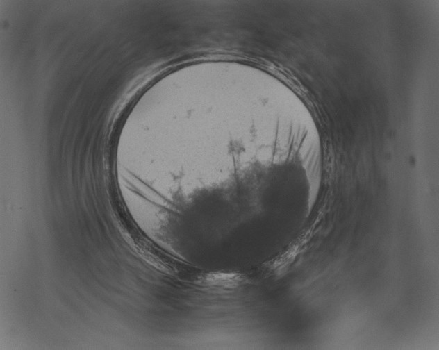 X0000067890055200605041603