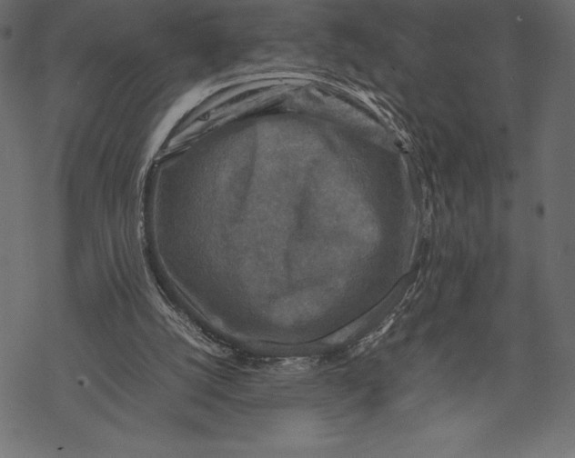 X0000067890056200605041603