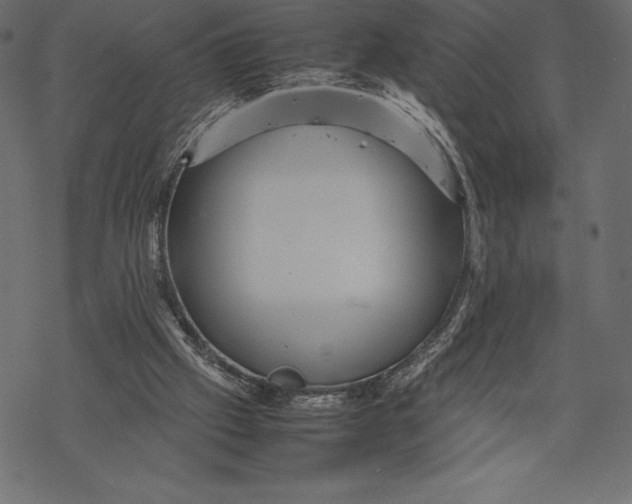 X0000067890057200605041603