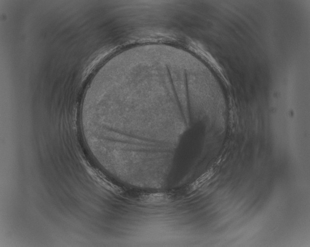 X0000067890058200605041603