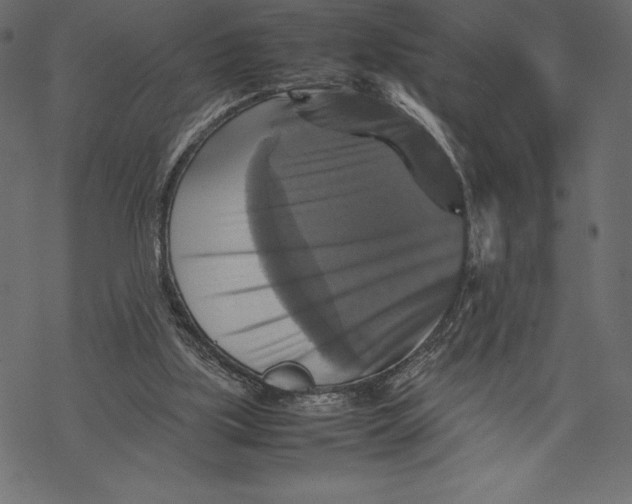 X0000067890059200605041603