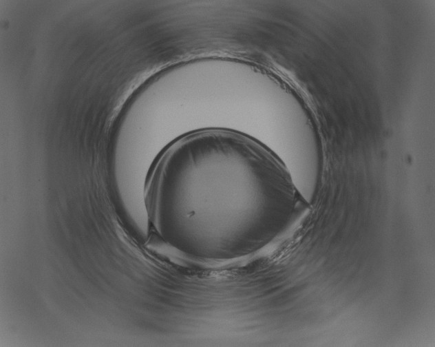 X0000067890060200605041603