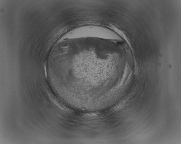 X0000067890061200605041603