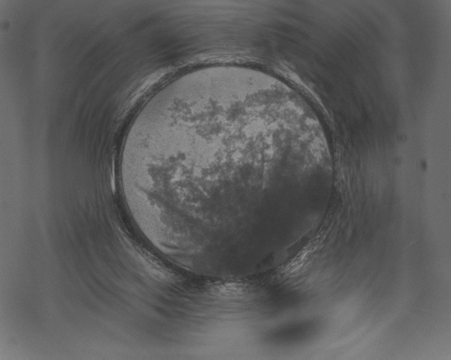 X0000067890062200605041603