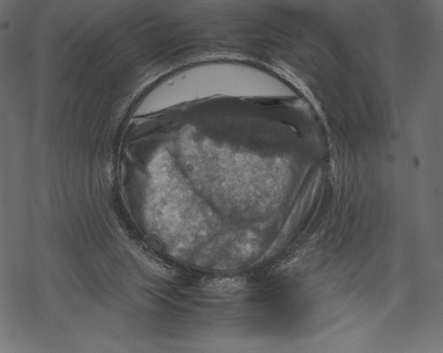 X0000067890063200605041603