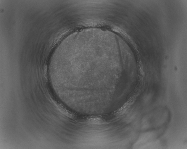 X0000067890066200605041603