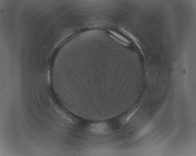 X0000067890067200605041603