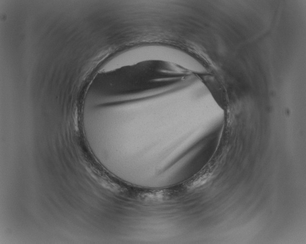 X0000067890068200605041603