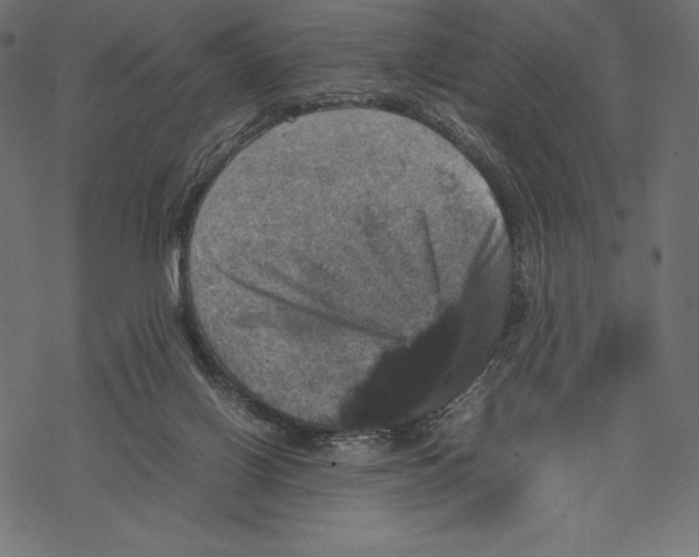 X0000067890070200605041603