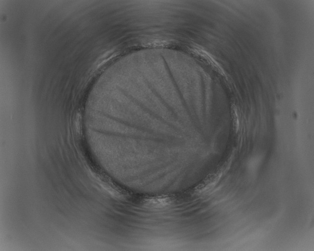 X0000067890071200605041603