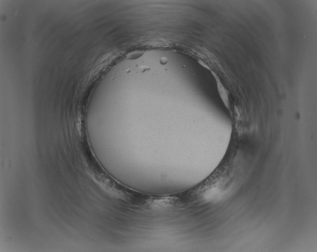 X0000067890072200605041603