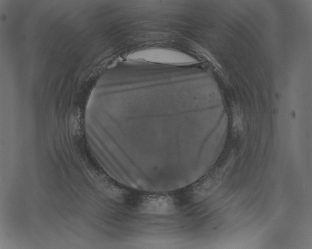 X0000067890073200605041603