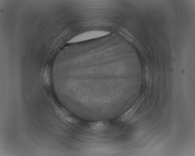 X0000067890074200605041603