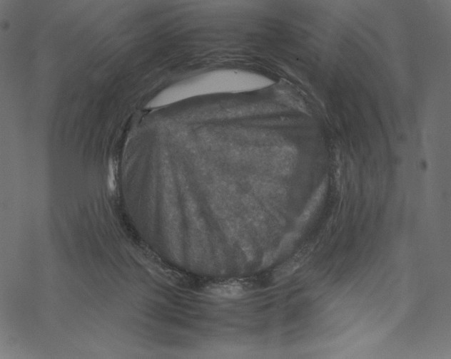 X0000067890075200605041603