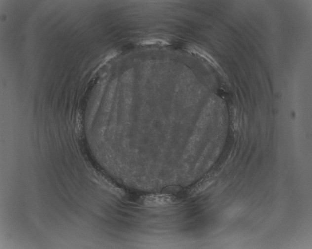 X0000067890077200605041603