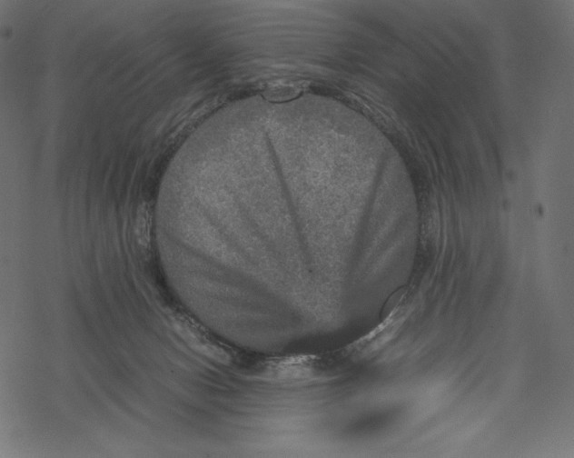 X0000067890078200605041603