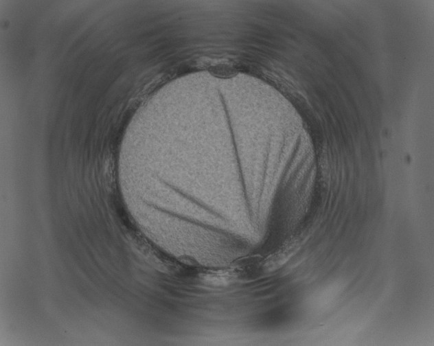 X0000067890079200605041603