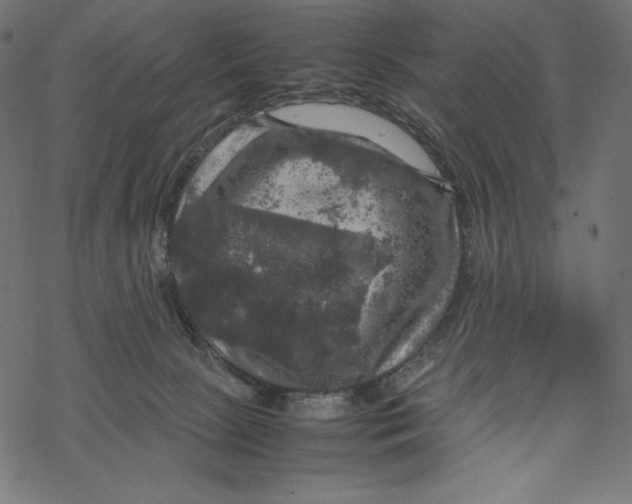 X0000067890081200605041603