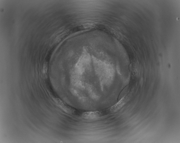 X0000067890082200605041603