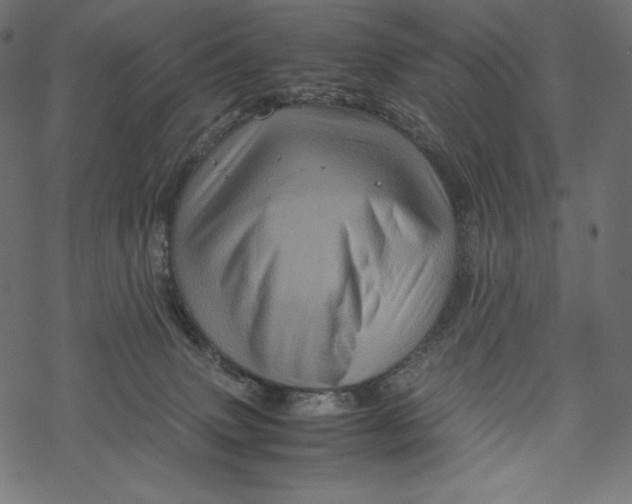 X0000067890083200605041603