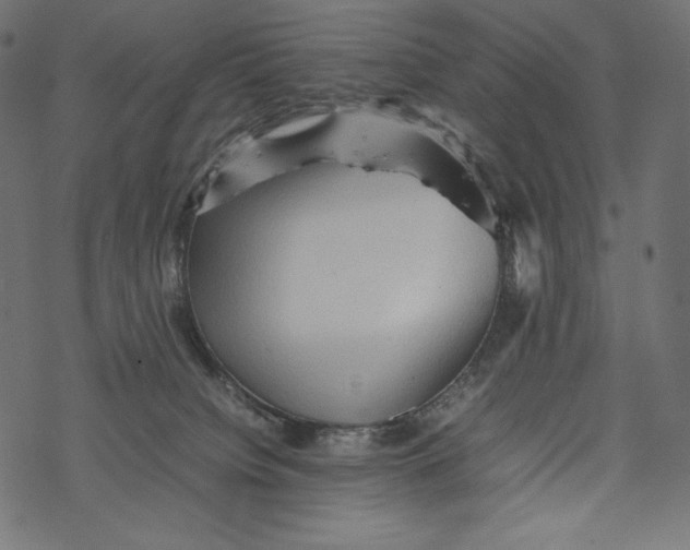 X0000067890084200605041603