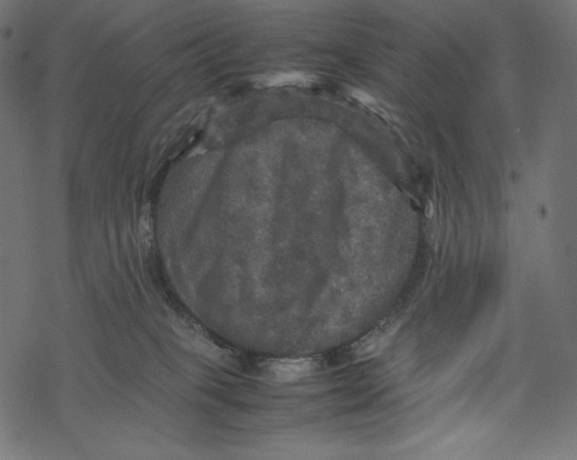 X0000067890085200605041603