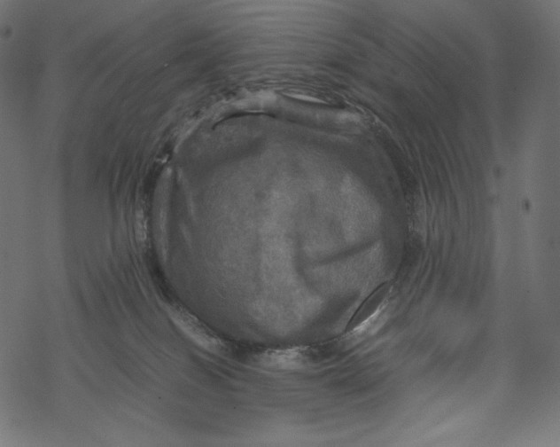 X0000067890086200605041603