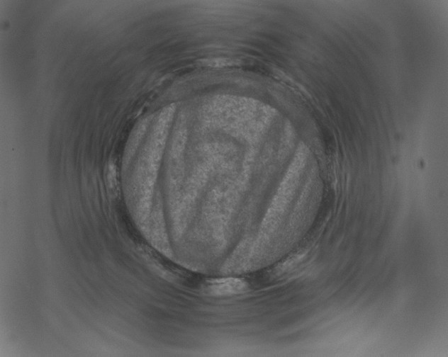 X0000067890087200605041603