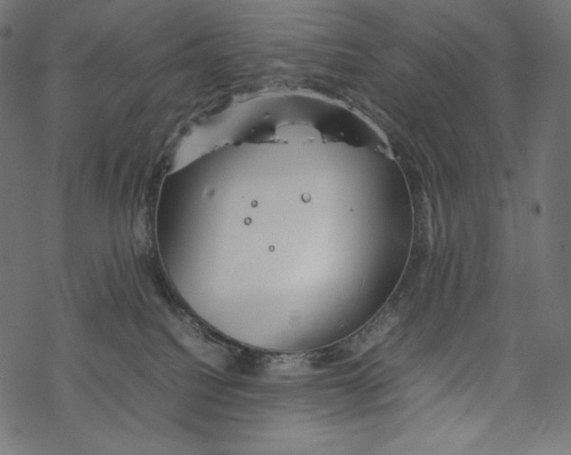 X0000067890088200605041603