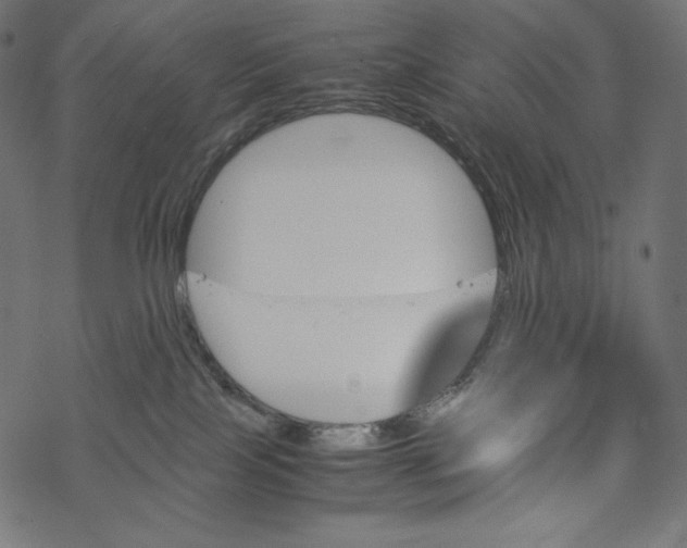 X0000067890089200605041603