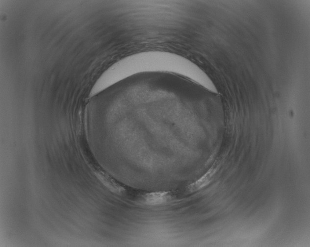 X0000067890090200605041603