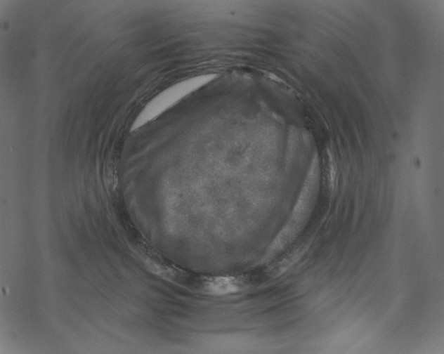 X0000067890091200605041603