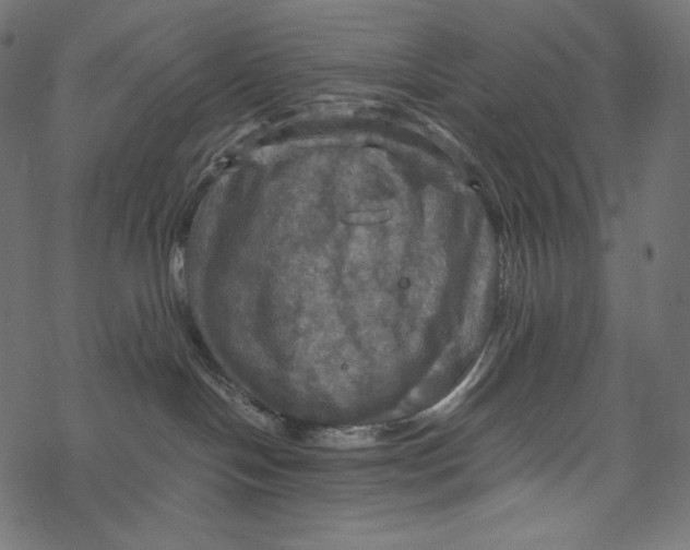 X0000067890094200605041603