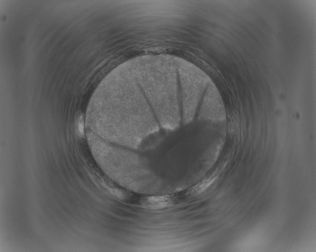 X0000067890095200605041603