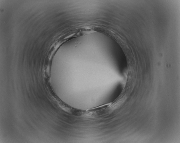 X0000067890096200605041603