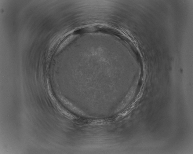 X0000067890097200605041602